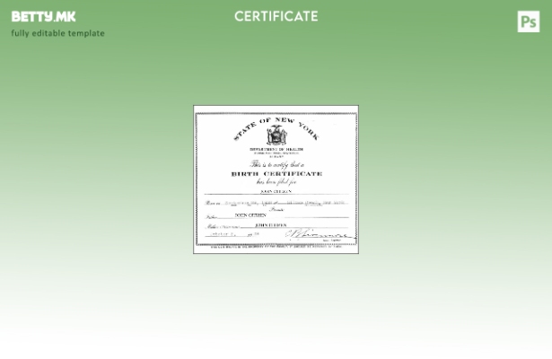 модерен стил Шаблон за извод од матична книга на родени, Одделение за витална ст